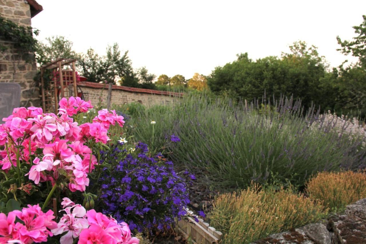 Bed and Breakfast La Belle Ame Saint-Priest-des-Champs Exteriér fotografie